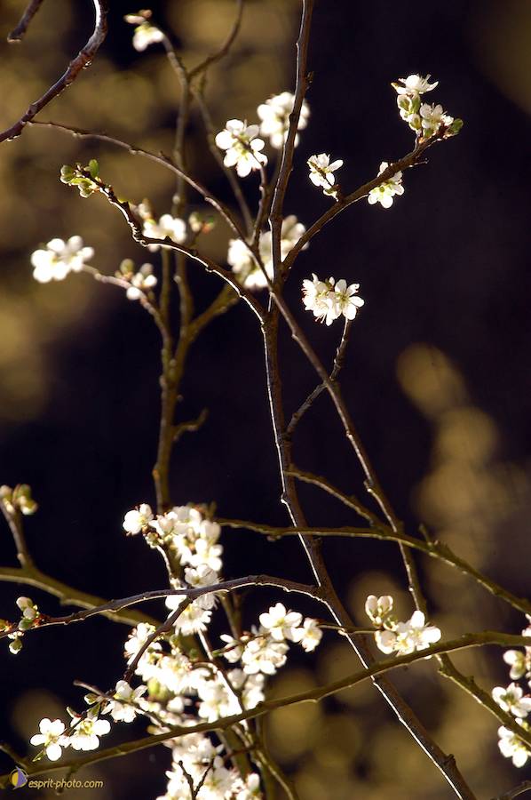 Nom de l'image : D1120021-01_(c)Norbert-JUNG — Description :  PËlerinage de Chartres 2004